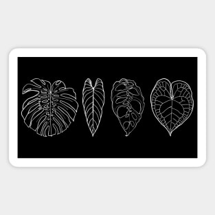 A leaf line up Magnet